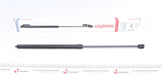 Lesjofors 8056806