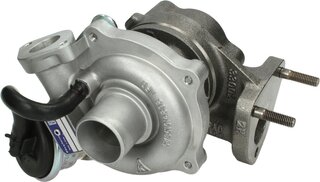 BorgWarner 54359880005