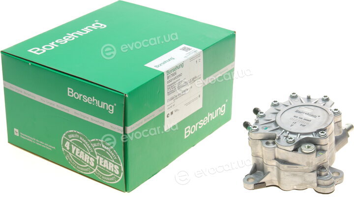 Borsehung B17906