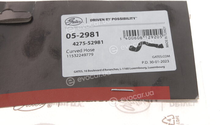 Gates 05-2981