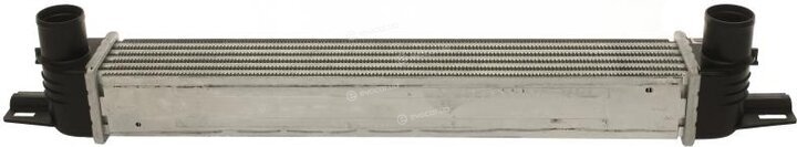 Starline 16.56.550