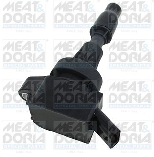 Meat & Doria 10825