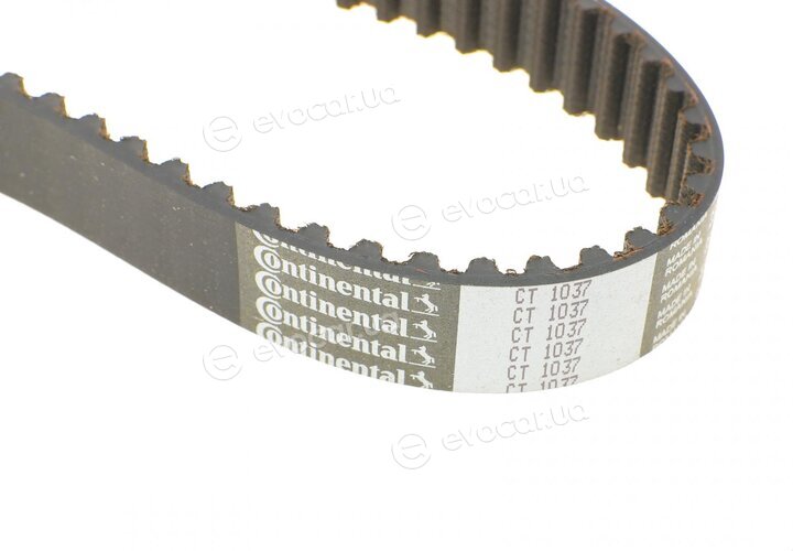 Continental CT1037K2