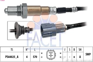 Facet 10.8607