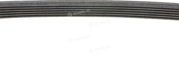 Continental 6PK1019 ELAST
