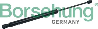 Borsehung B18447
