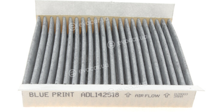 Blue Print ADL142518