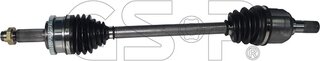 GSP 224248