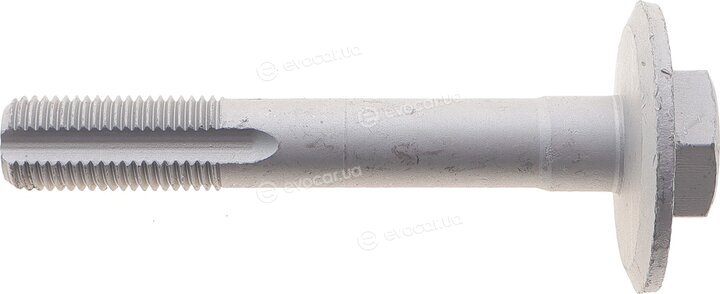 Solgy 204179