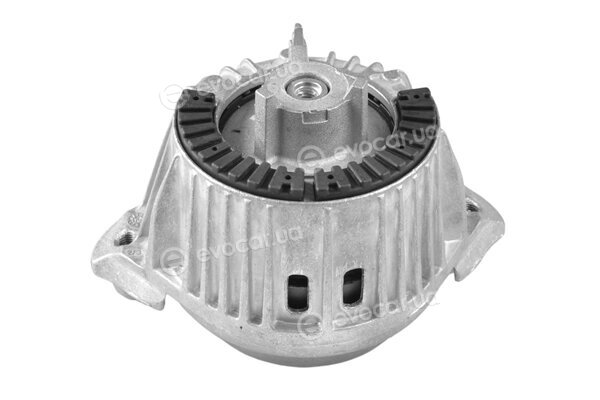 Tedgum TED99086