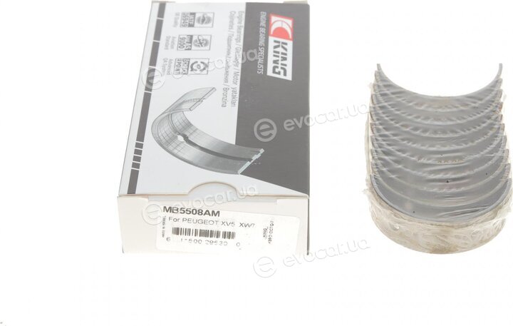 King MB5508AM