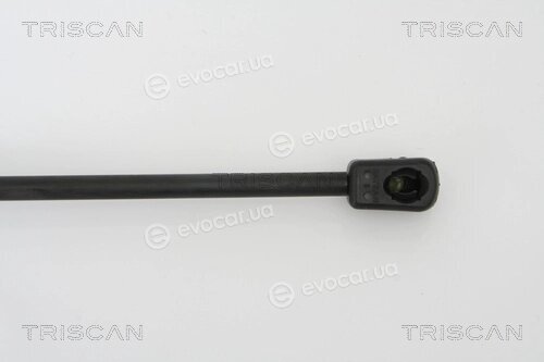 Triscan 8710 43217