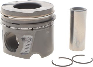 Mahle 011 PI 00117 000