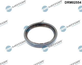 Dr. Motor DRM02554