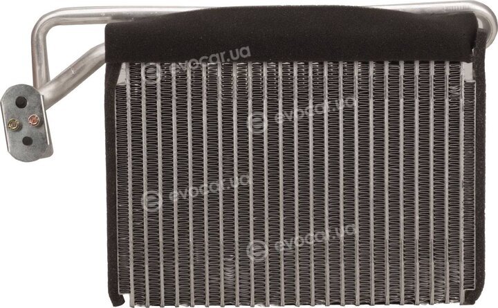 Bapmic TOPT1254001
