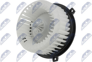 NTY EWN-PL-004