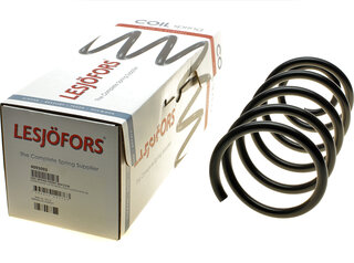 Lesjofors 4095093