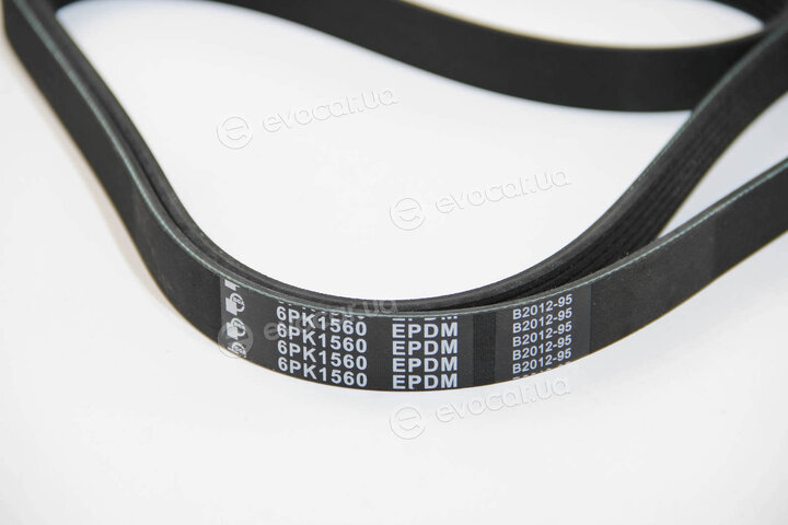 BGA 6PK1560