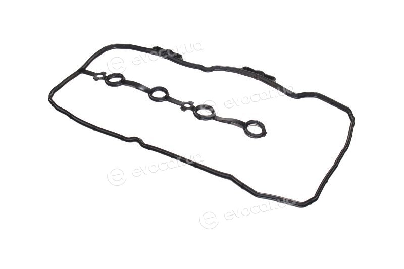 Elring 307.010
