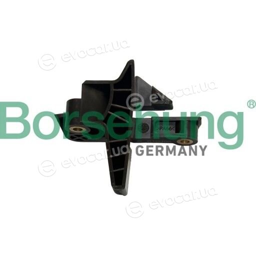 Borsehung B13332