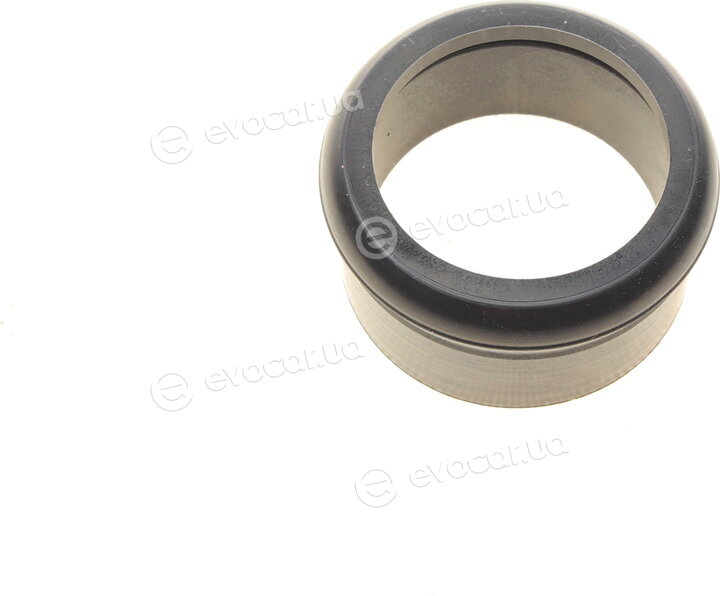 Solgy 113008