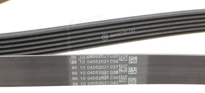 Continental 6PK1555