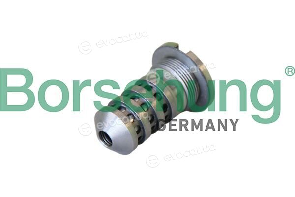 Borsehung B12694