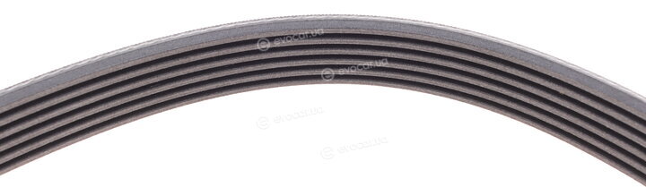 Continental 6PK2404