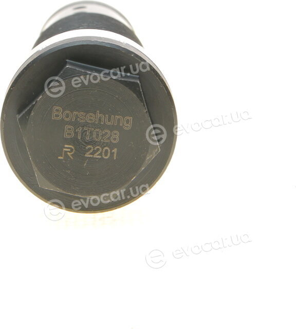 Borsehung B1T028