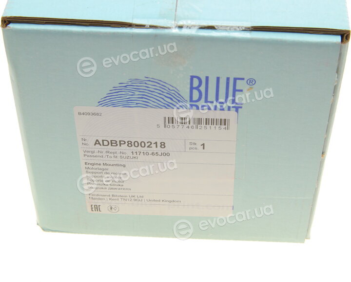 Blue Print ADBP800218