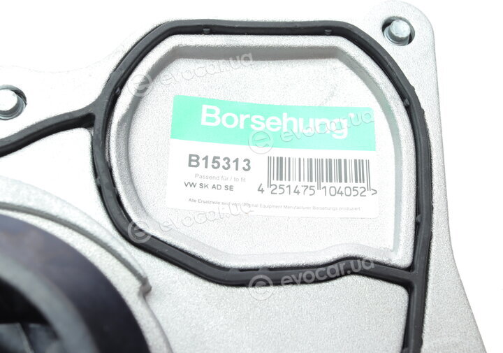 Borsehung B15313