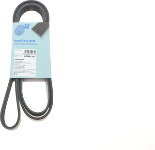 Blue Print AD06R1795