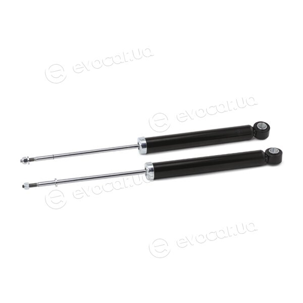 Ridex 854S2197
