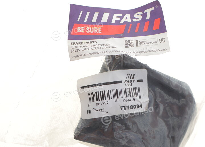 Fast FT18024