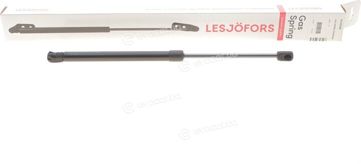 Lesjofors 8144248