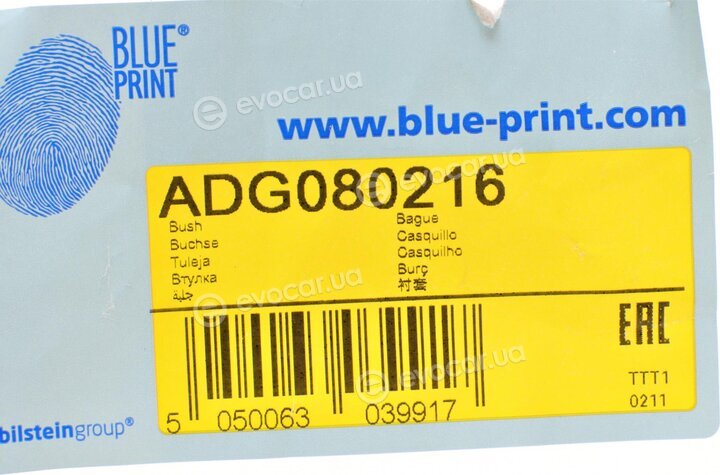 Blue Print ADG080216