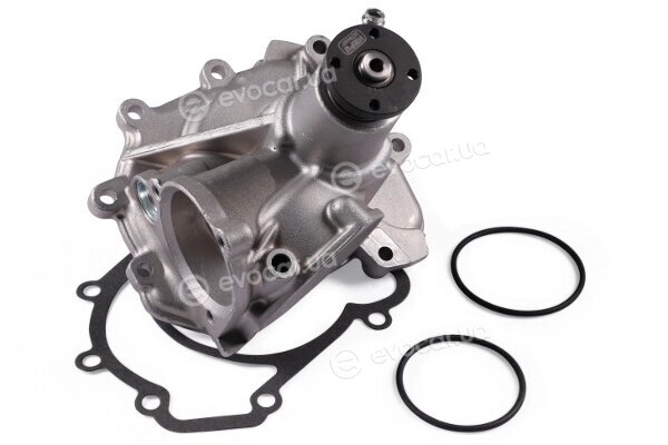 Hepu P169