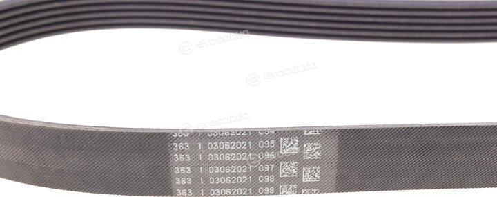 Continental 6PK1029 ELAST
