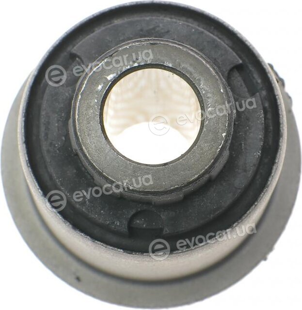 Hutchinson 531520