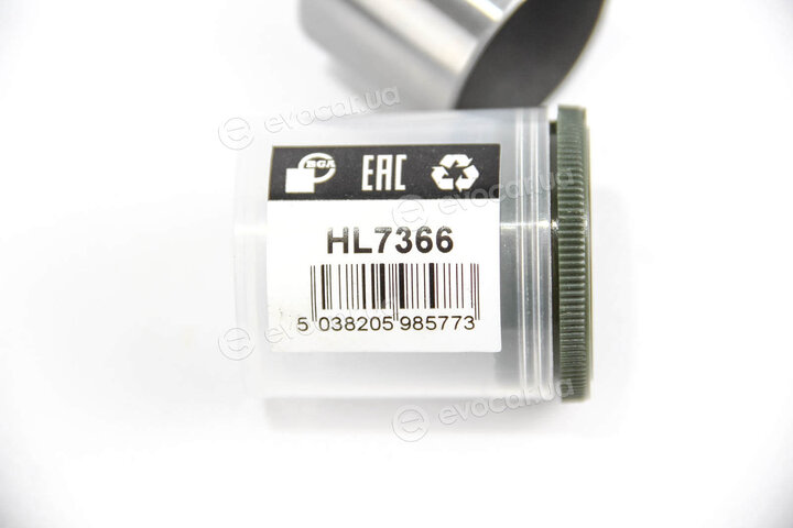 BGA HL7366