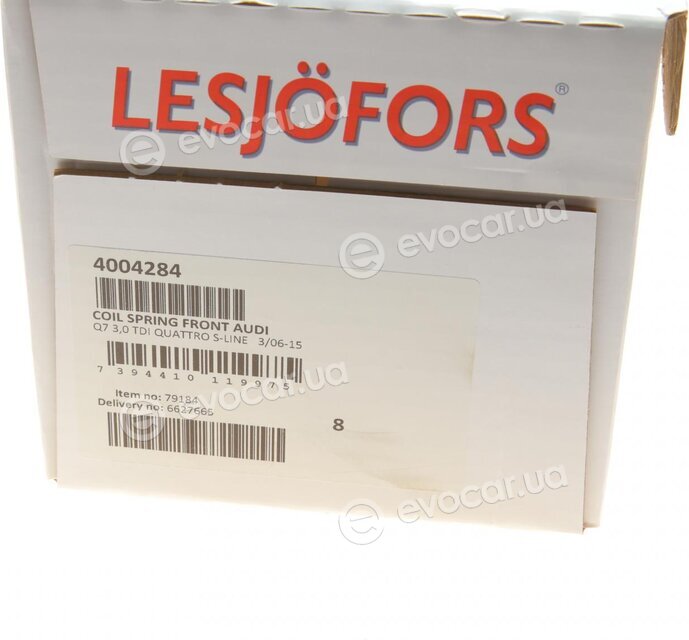 Lesjofors 4004284