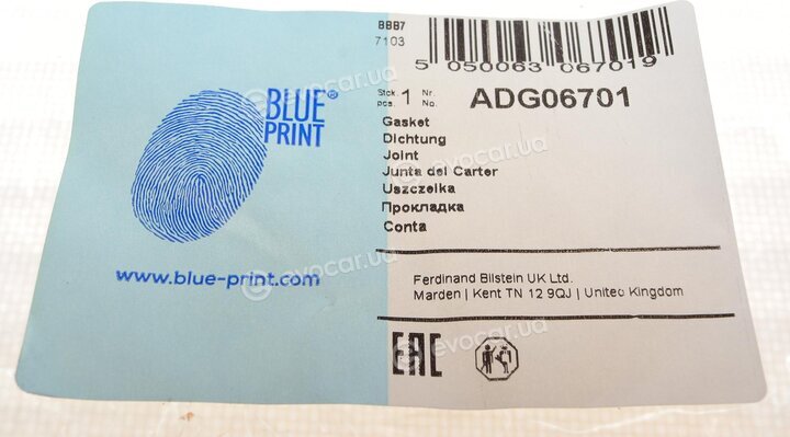 Blue Print ADG06701