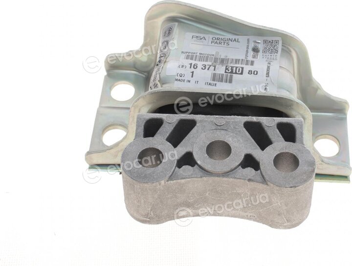 Mopar (PSA / FCA) 1637131080