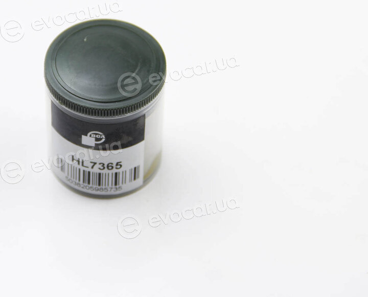BGA HL7365