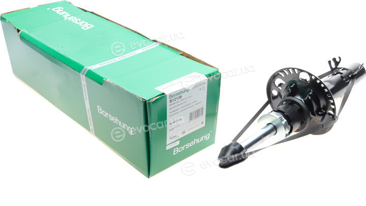 Borsehung B12138