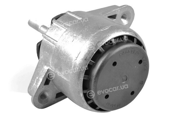 Tedgum TED86959