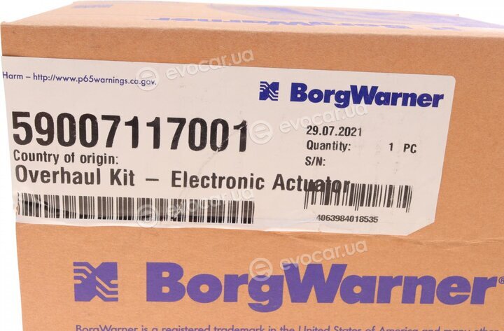 BorgWarner 59007117001