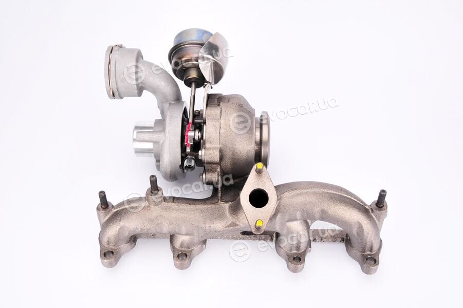 BorgWarner 54399880022