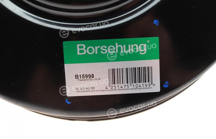 Borsehung B15998