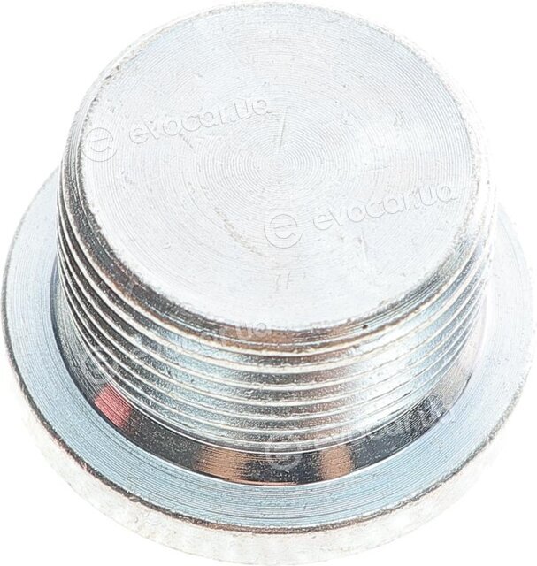 Elring 097.410